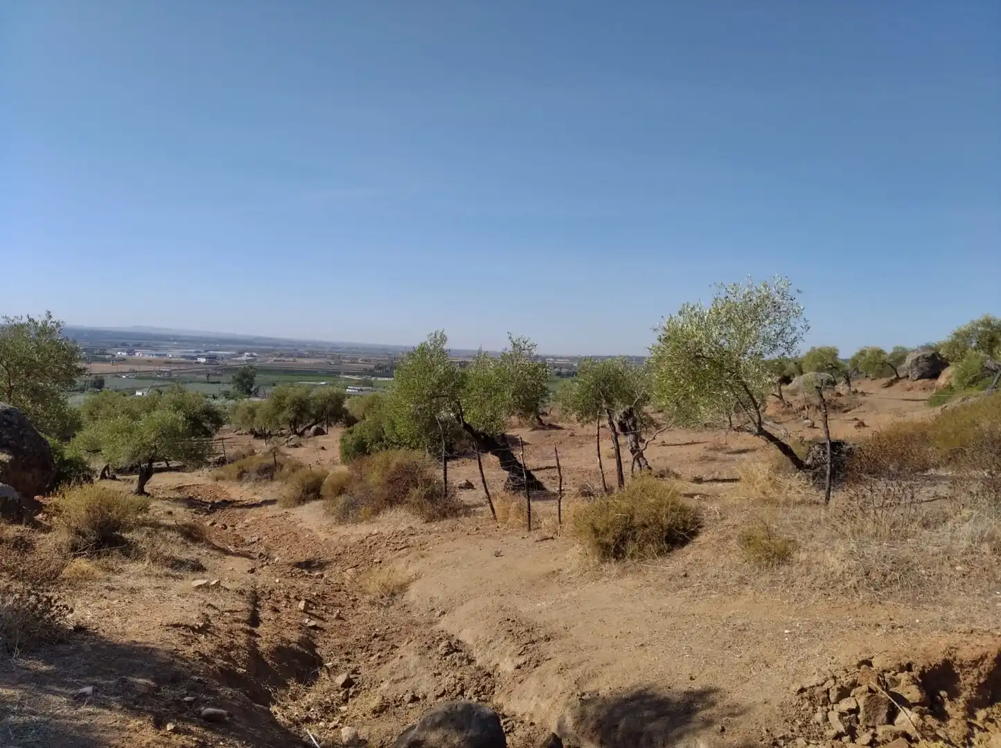 Land for sale in Calle Camino Sierra de la Cruz, 9, Lora del Río