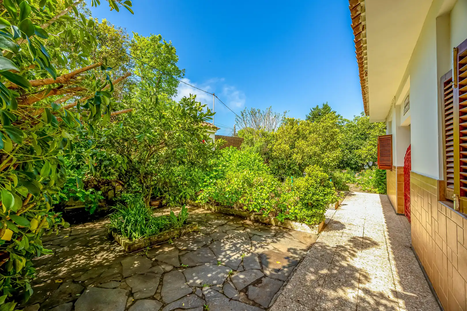 Jardí de Casa o xalet en venda en Valleseco amb Jardí privat, Terrassa i Traster