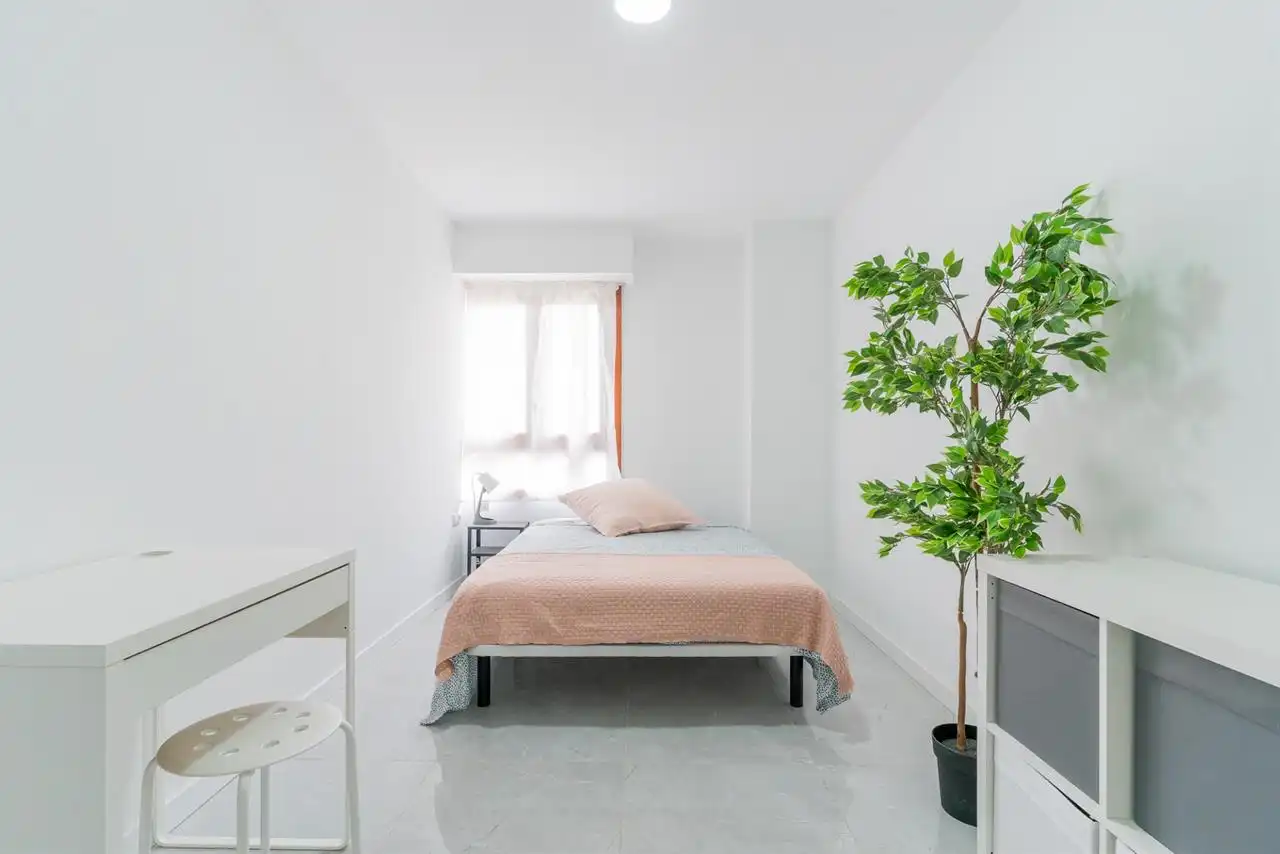 Room in Casco Histórico