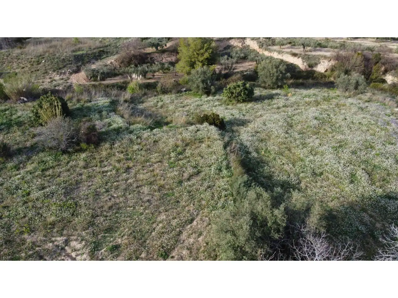 Residencial en venda en Caravaca de la Cruz