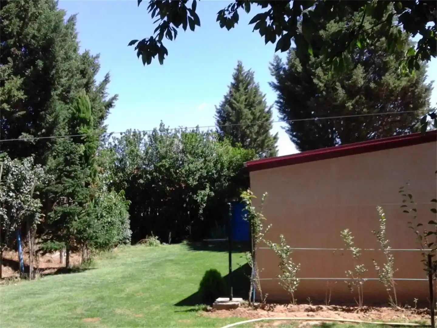 Garden of Land for sale in Benavides
