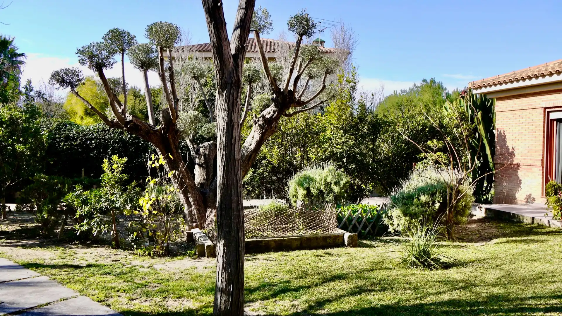 Jardí de Casa o xalet en venda en Alicante / Alacant amb Aire condicionat, Calefacció i Jardí privat