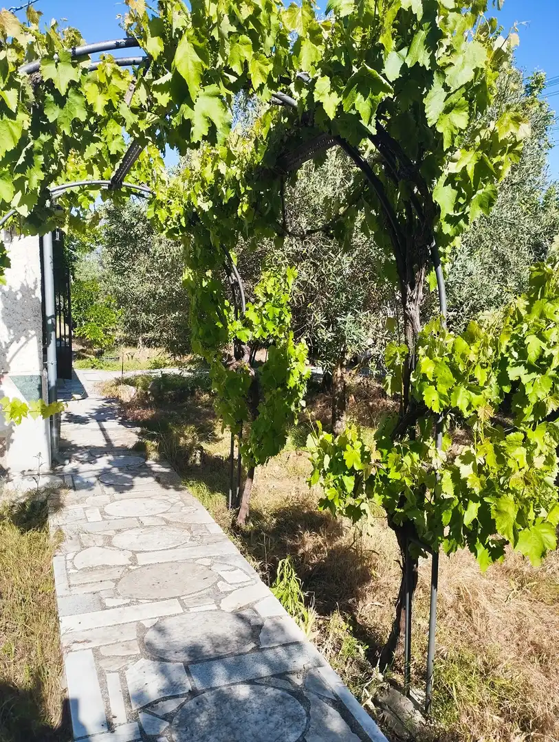 House for sale in Paseo de la estación, imagen 4
