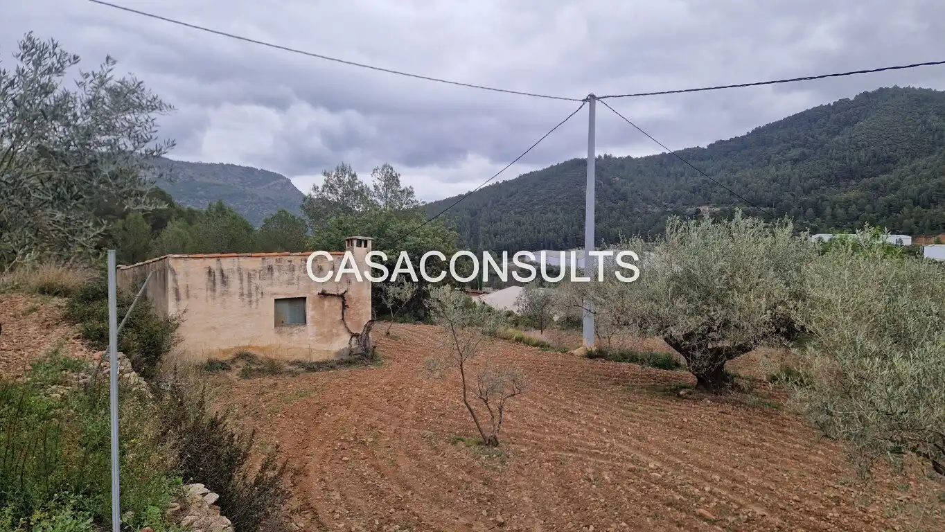 Casa rústica amb jardí en venda a Llucena / Lucena del Cid, imagen 4