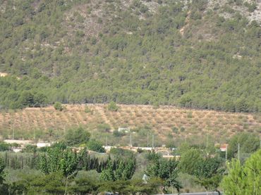 Terreny residencial en venda a Balcón de Ponoig - Polop Paradis - Polop Hills