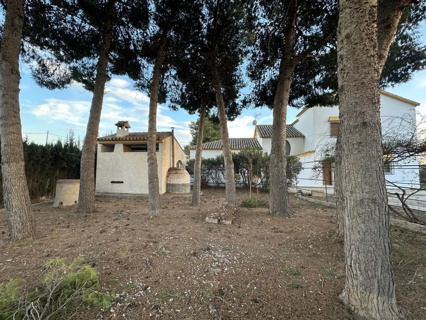 Xalet amb jardí en venda a Pedanías Centro, imagen 25