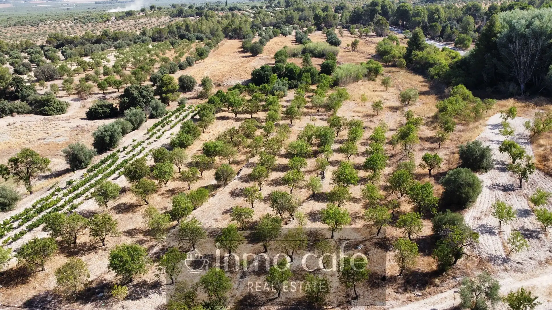 Terrain rustique à vendre à Polígono, imagen 2
