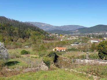 Terrenys i solars en venda a Mondariz