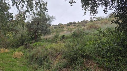 FINCA EN VENTA LA SOLANA  COLMENAR MALAGA, immagine 5