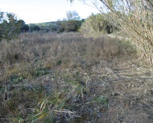 Land for sale in Polígono 26 Parcela 104 Pou Ample. Vall D'alba (c, Vall d'Alba