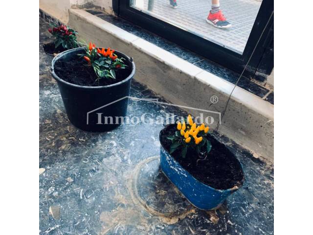 Local comercial en Alquiler en Pedregalejo - Morlaco