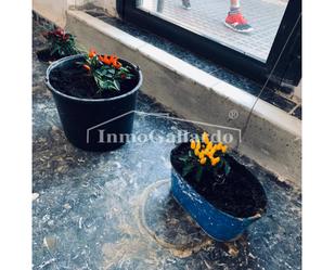 Garden of Premises to rent in Málaga Capital