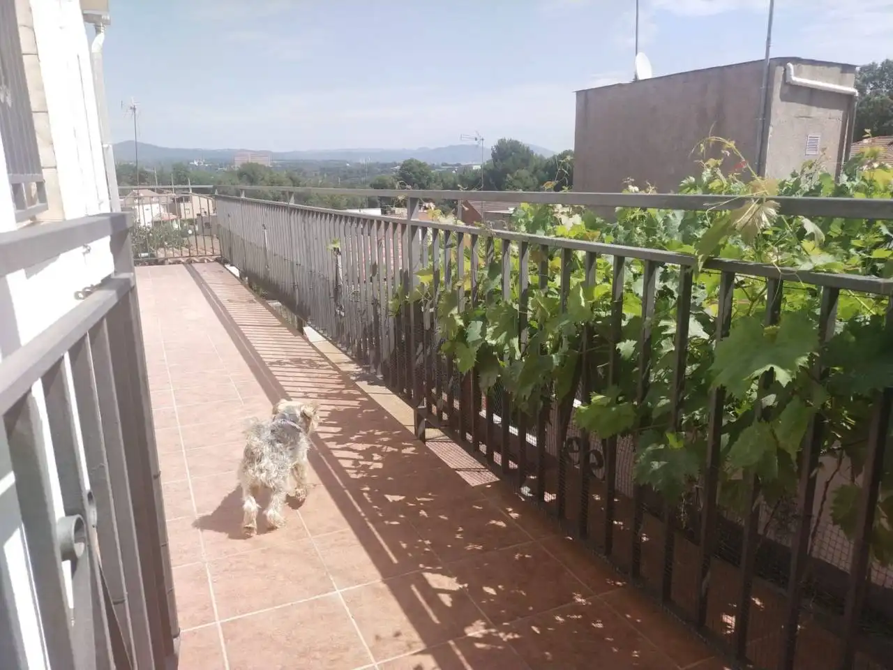 Casa o chalet en venta en Can Parellada