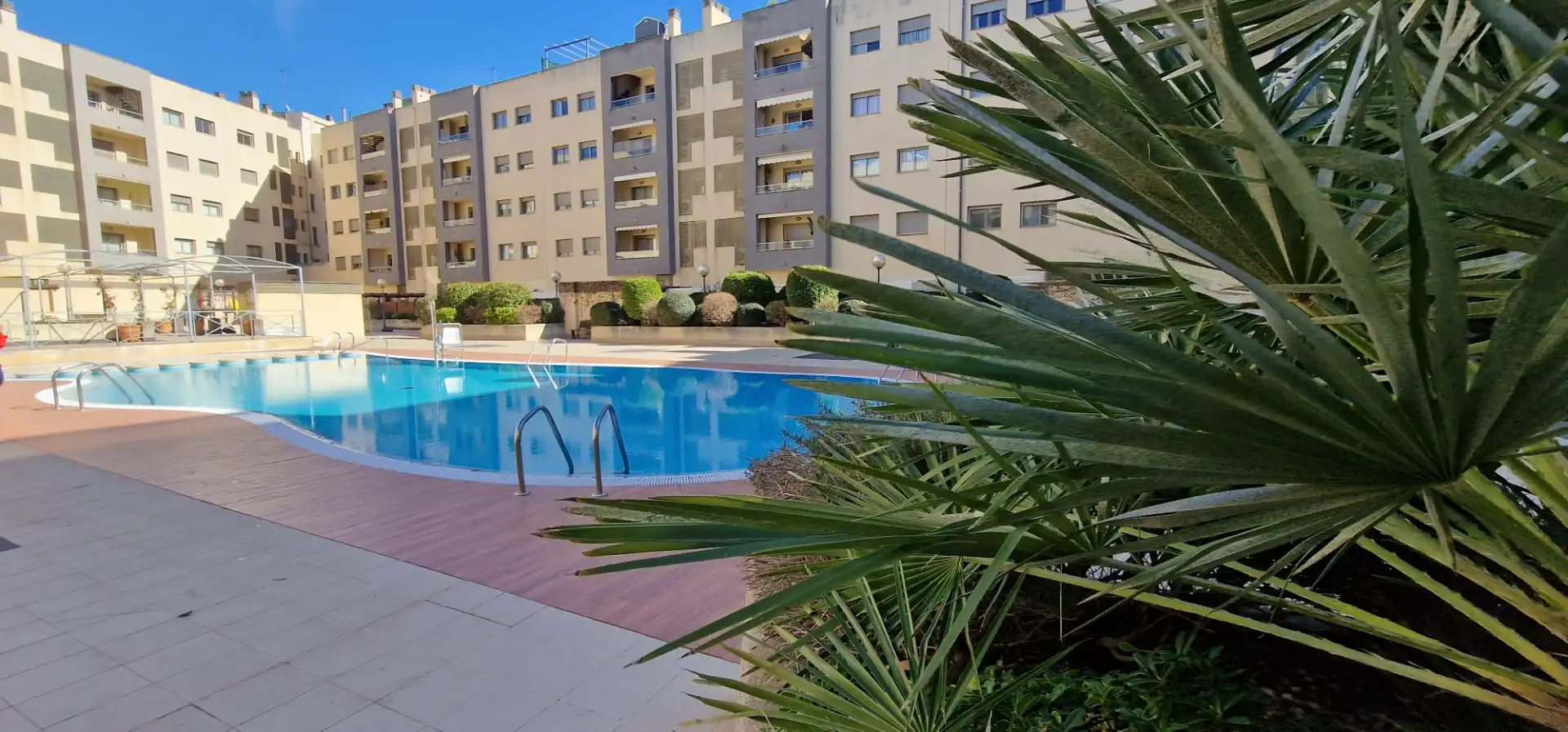 Piscina de Pis de lloguer en  Palma de Mallorca amb Piscina i Balcó