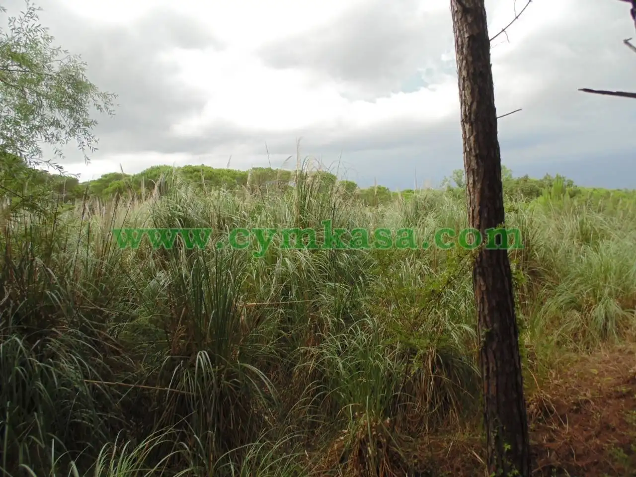 Rural land for sale in Montbarbat, imagen 9