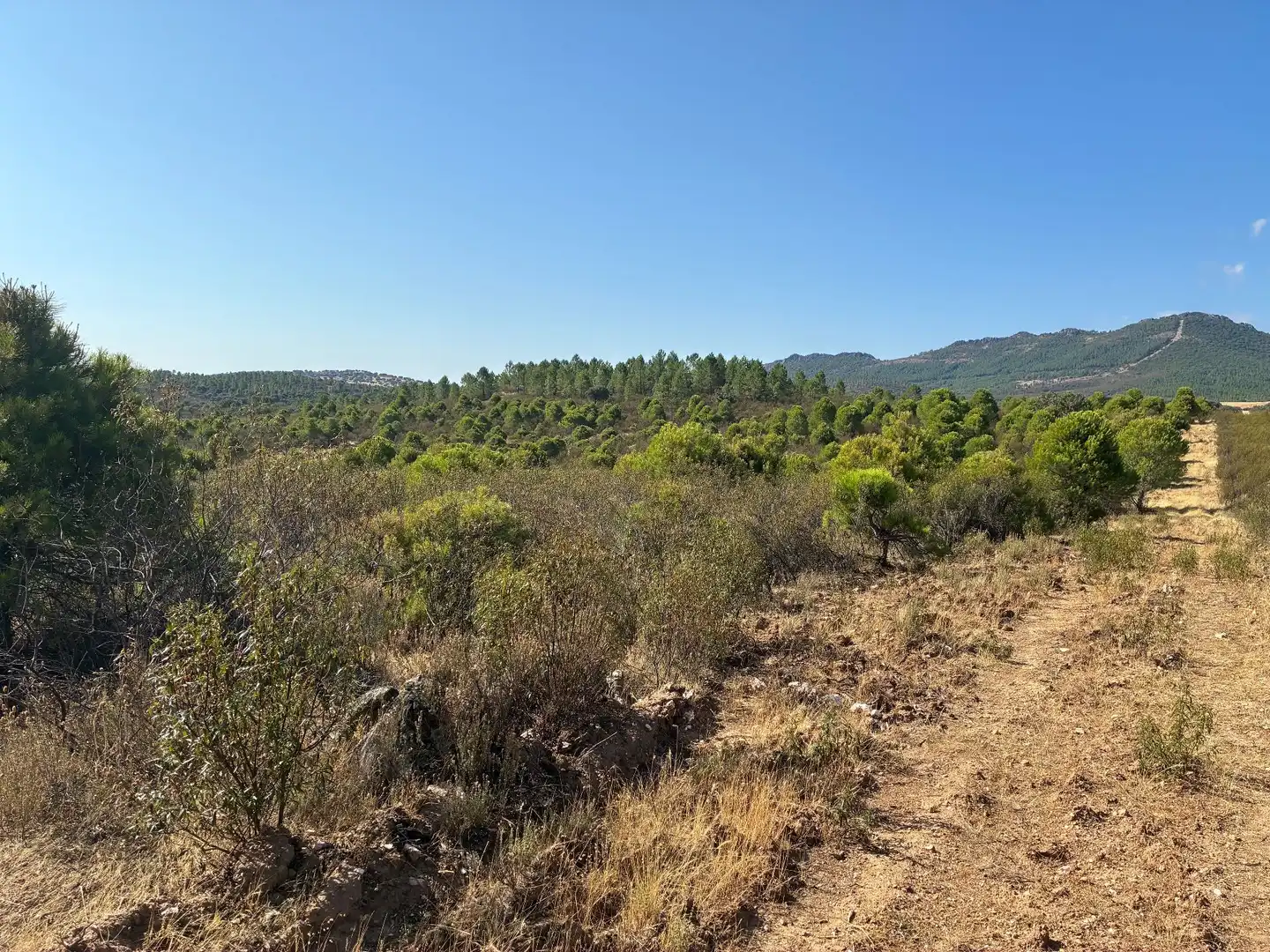 Rural land for sale in Puerto de San Vicente, imagen 5