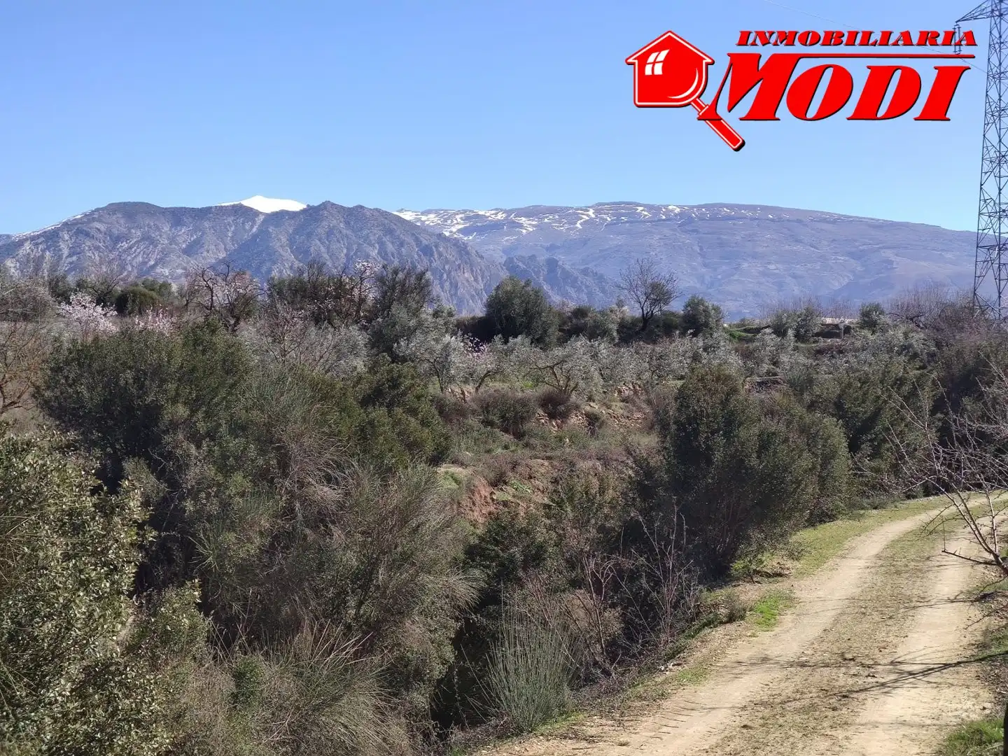 Terrenys i solars en venda a Villamena, imagen 18