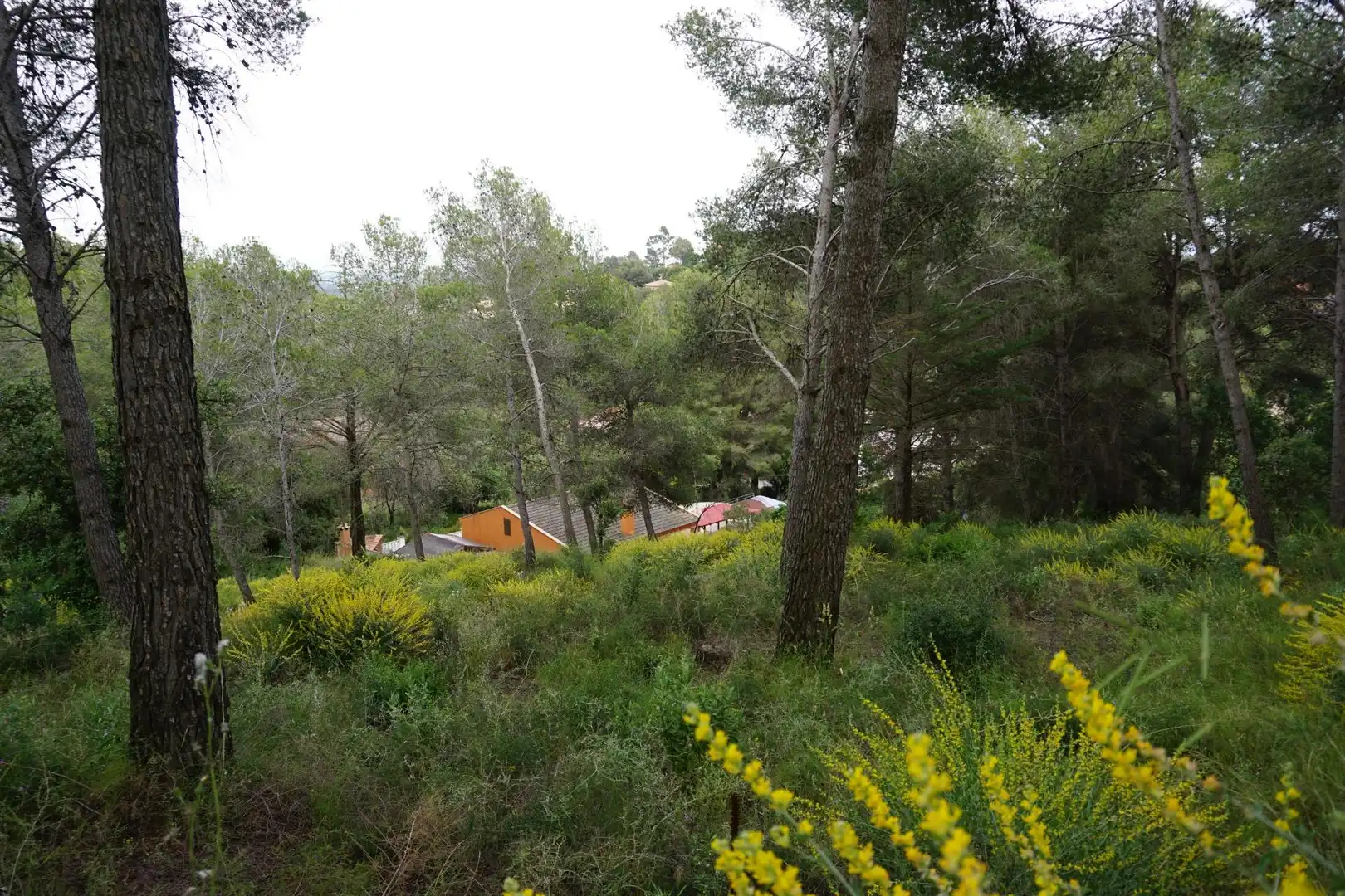 Terreno residenziale in vendita a Calle Ferreteries, imagen 10