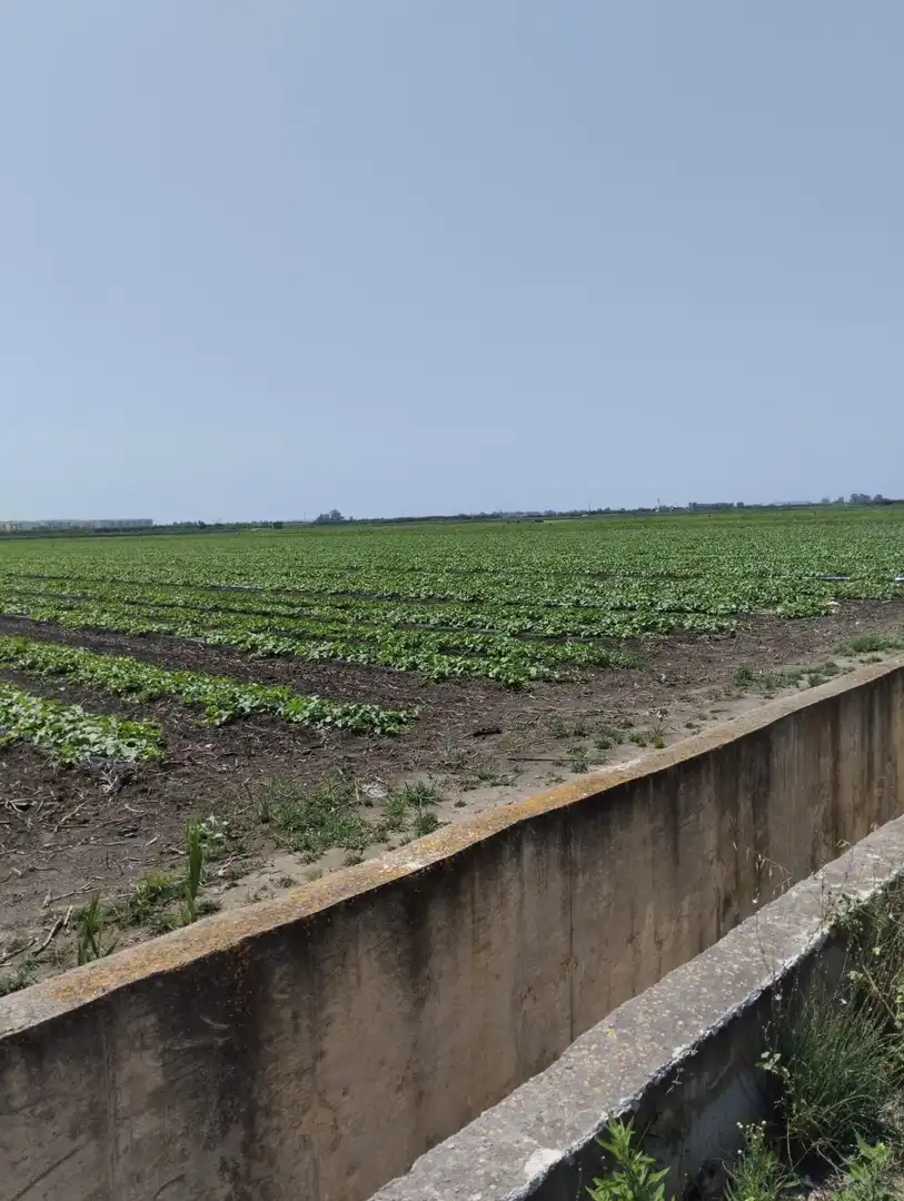 Rural land for sale in N/A, imagen 27