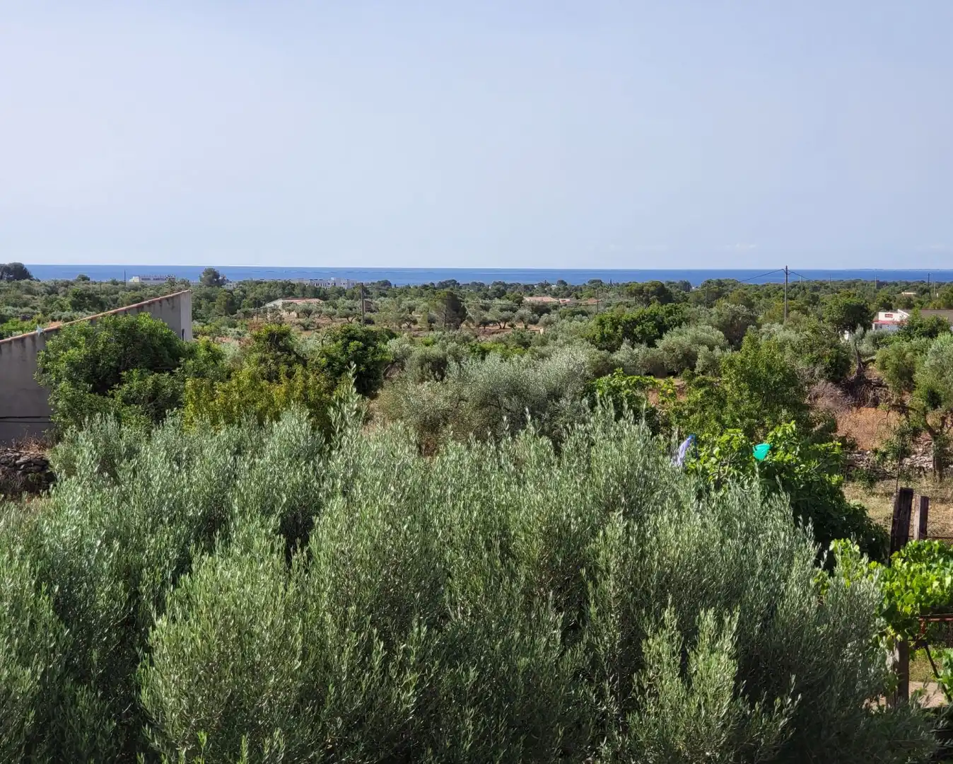 Finca rústica en venda en L'Ametlla de Mar  amb Jardí privat, Terrassa i Traster
