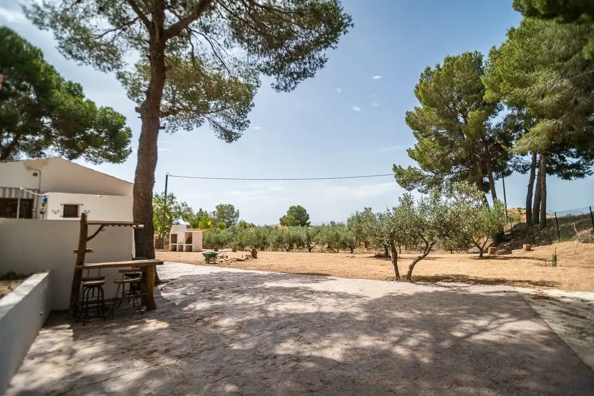 Jardí de Casa o xalet en venda en Murcia amb Calefacció, Jardí privat i Terrassa