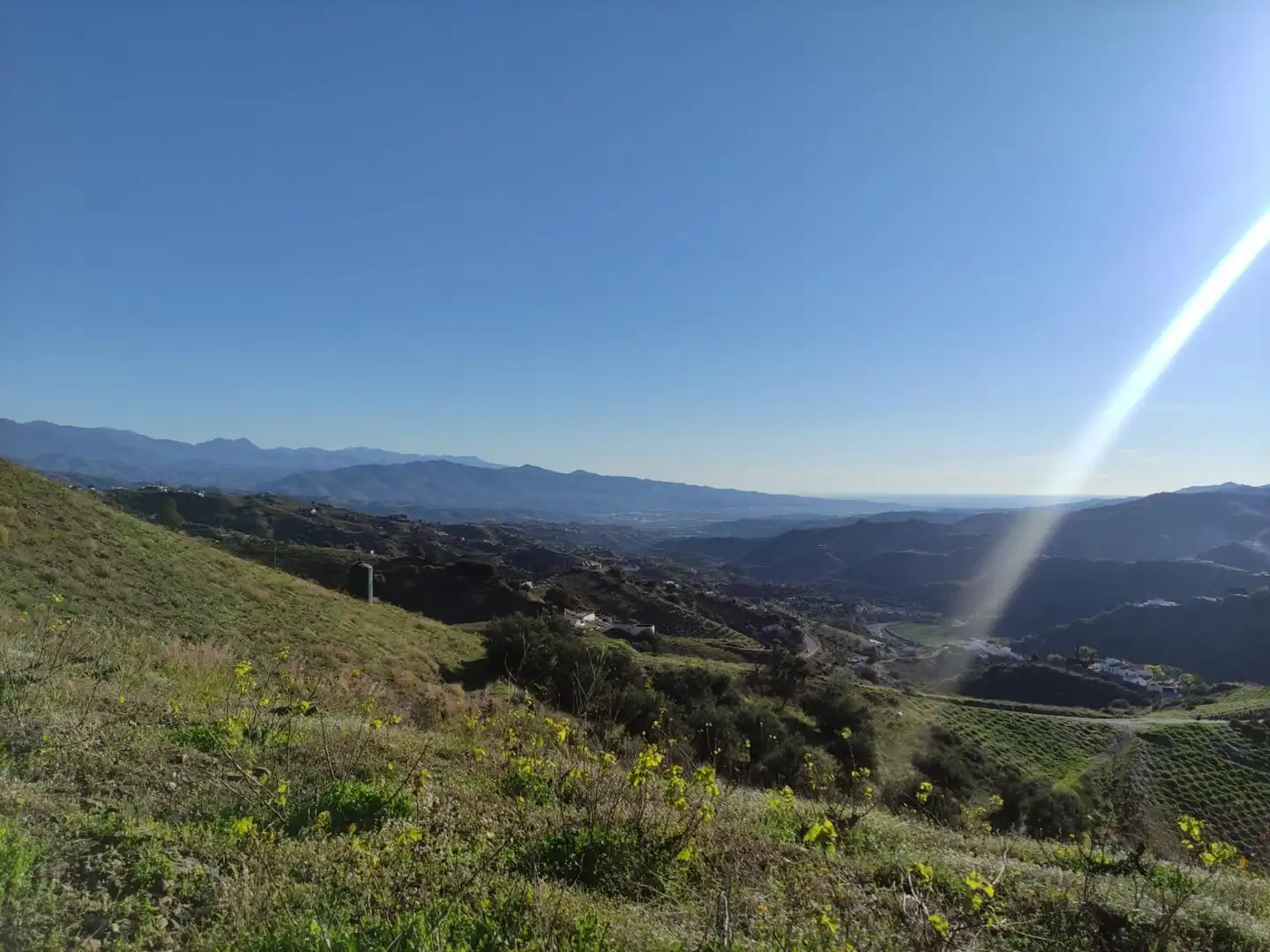 Vista exterior de Finca rústica en venta en Cútar con Jardín privado, Terraza y Piscina