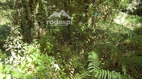 Venta parcela en Lira, Salvaterra., imatge 5