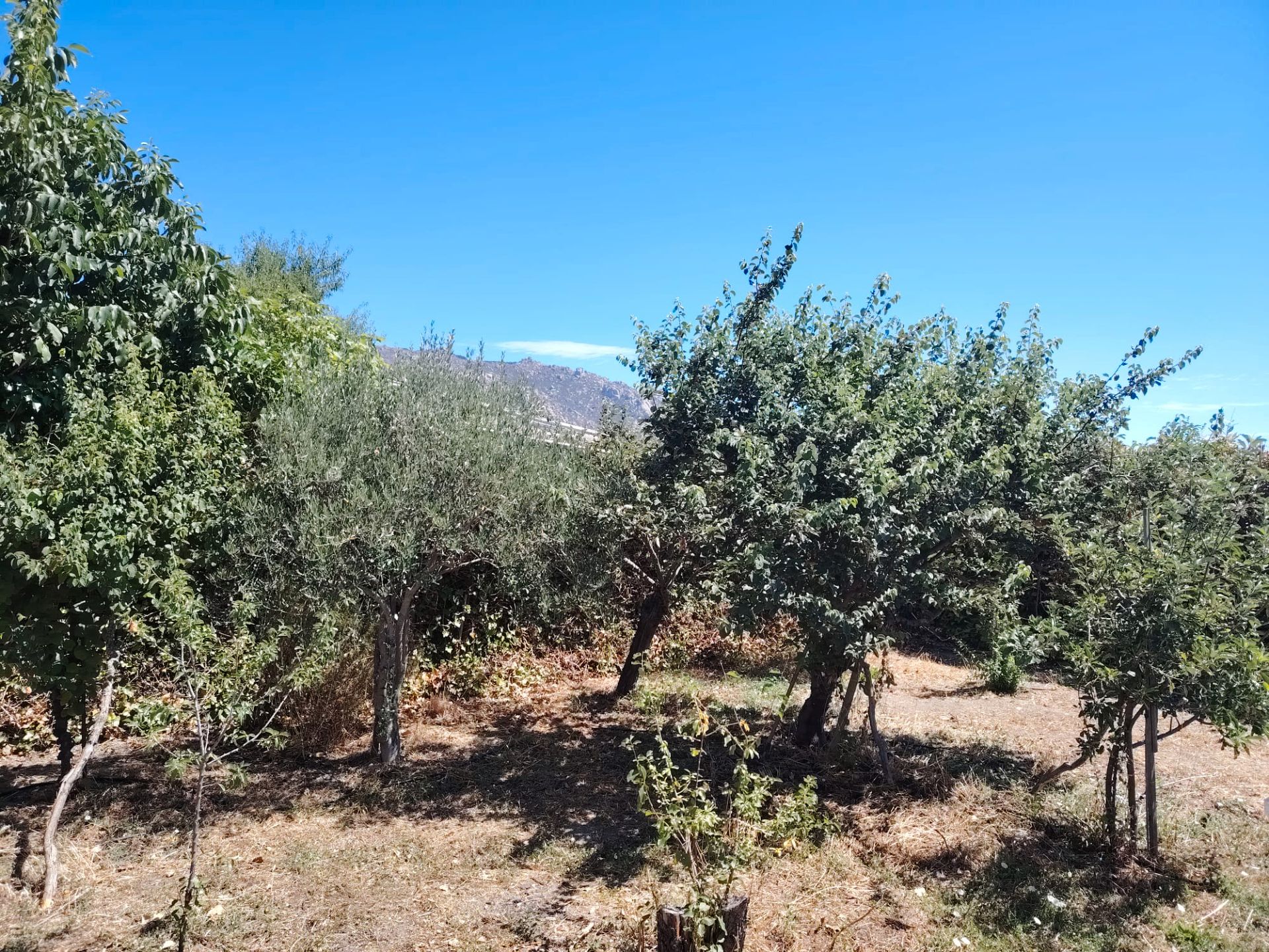 House or chalet for sale in El Boalo - Cerceda – Mataelpino  with Private garden, Swimming Pool and Furnished
