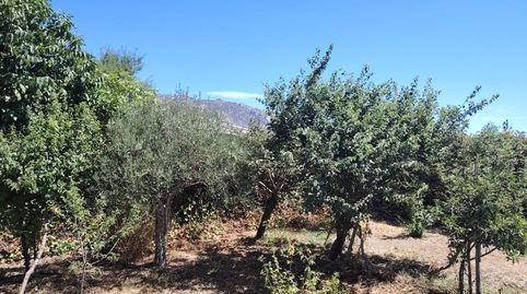 Foto 4 de Casa o chalet en venta en Calle de San Agustín, Mataelpino, El Boalo - Cerceda – Mataelpino