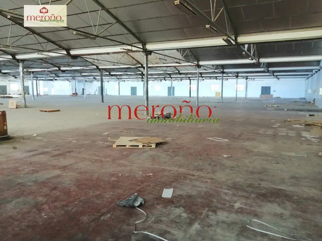 Industrial buildings for rent in Elche / Elx