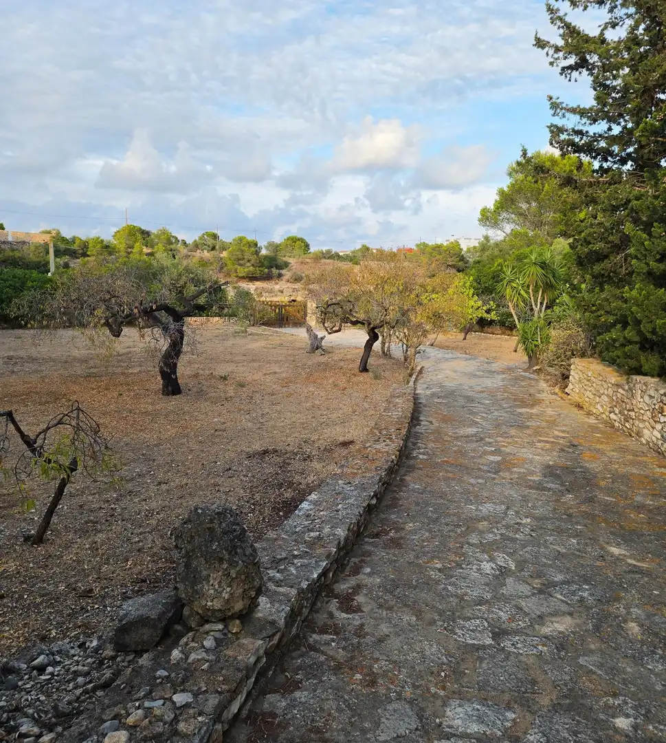 Haus mit Garten zum Verkauf in Roques Daurades - L'Estany, imagen 30