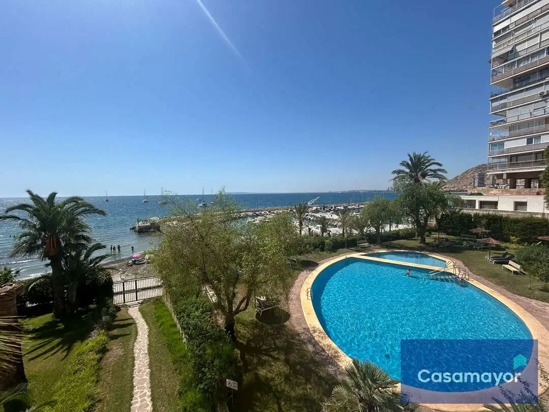 Swimming pool of Flat for rent in Alicante / Alacant  with Air Conditioner, Heating and Private garden