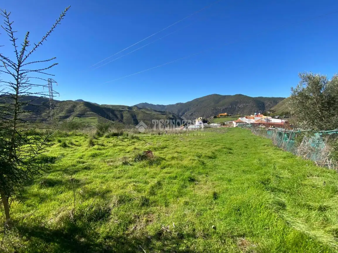 Terreny rústic en venda a Camino del Palo, imagen 11