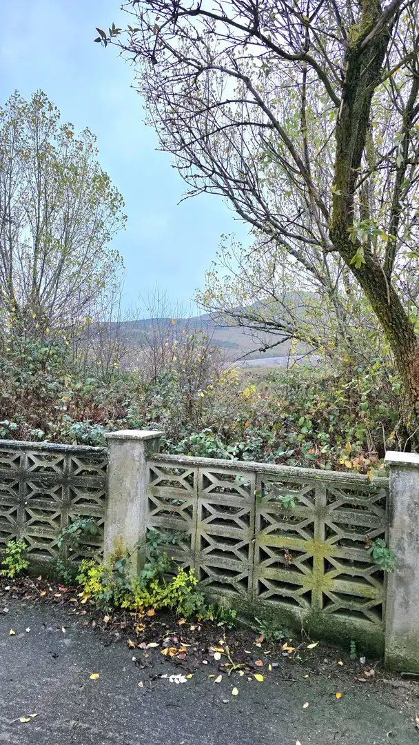 Jardín de Casa o chalet en venta en Barruelo de Santullán