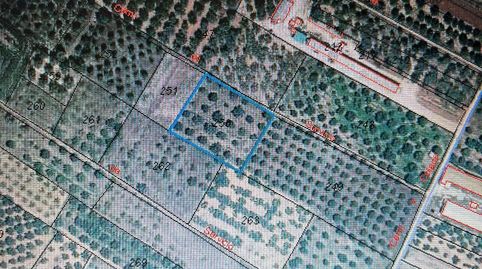 Finca Rustica en Tirig, immagine 2