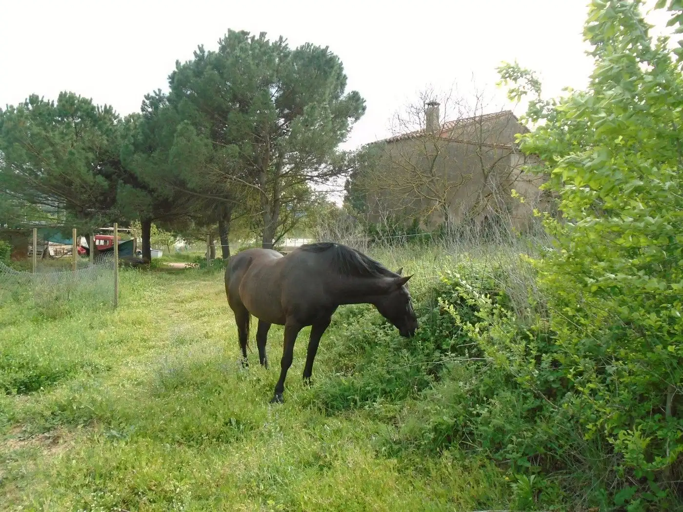 Landhaus zum Verkauf in Sant Celoni, imagen 20