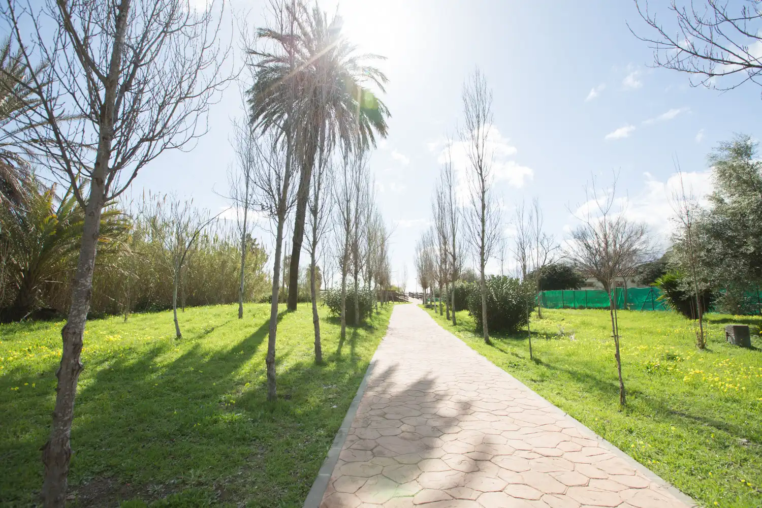 Casa con jardín en venta en Benamara - Atalaya, imagen 2