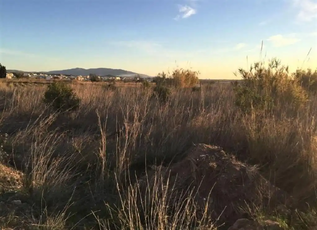 Industrial land for sale in Torreblanca, imagen 7