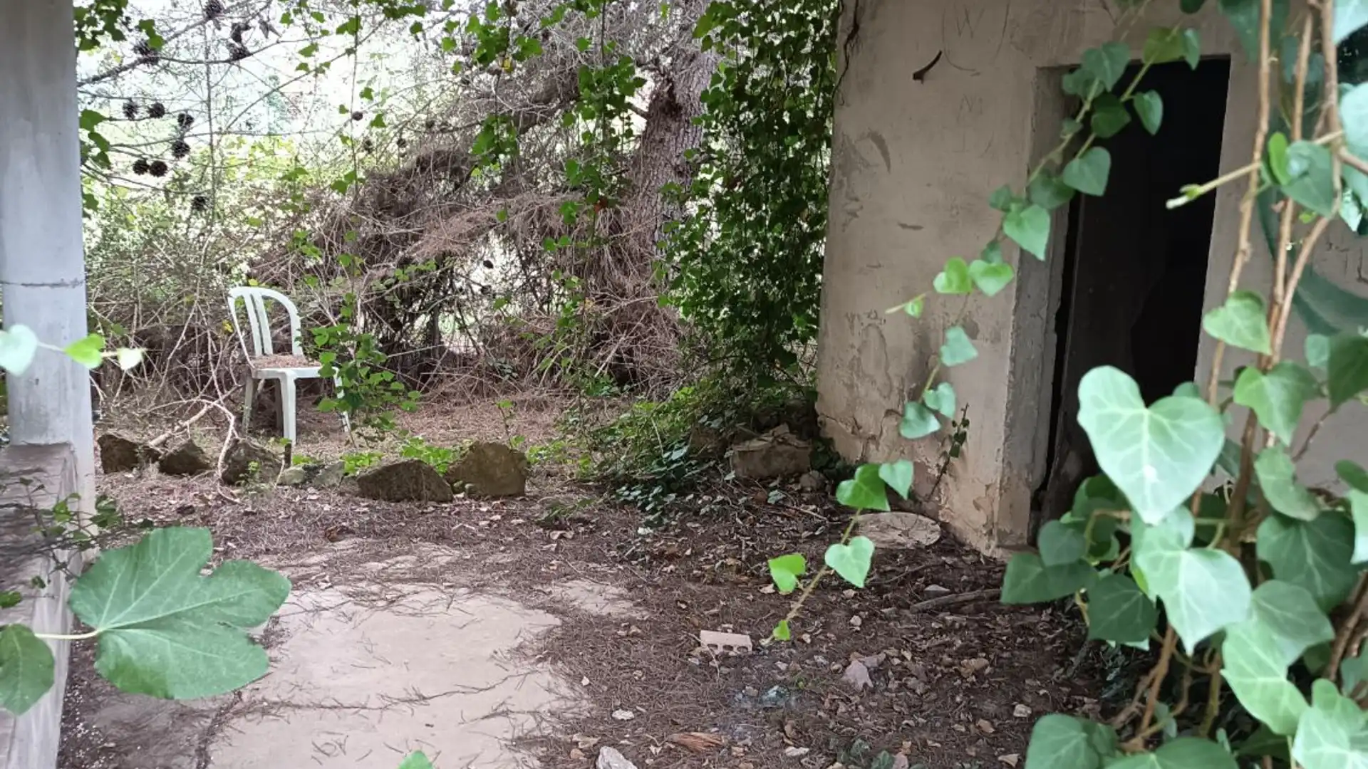 Finca rústica en venta en Ulldecona