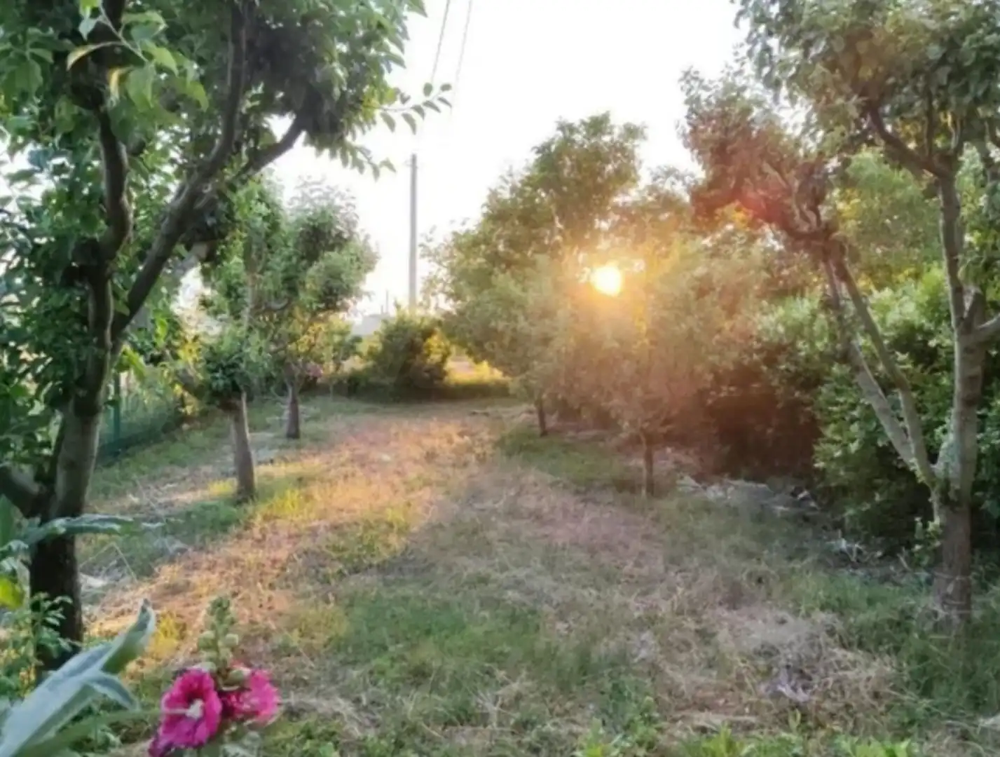 Finca rústica en venda en Quintanaélez amb Calefacció i Terrassa