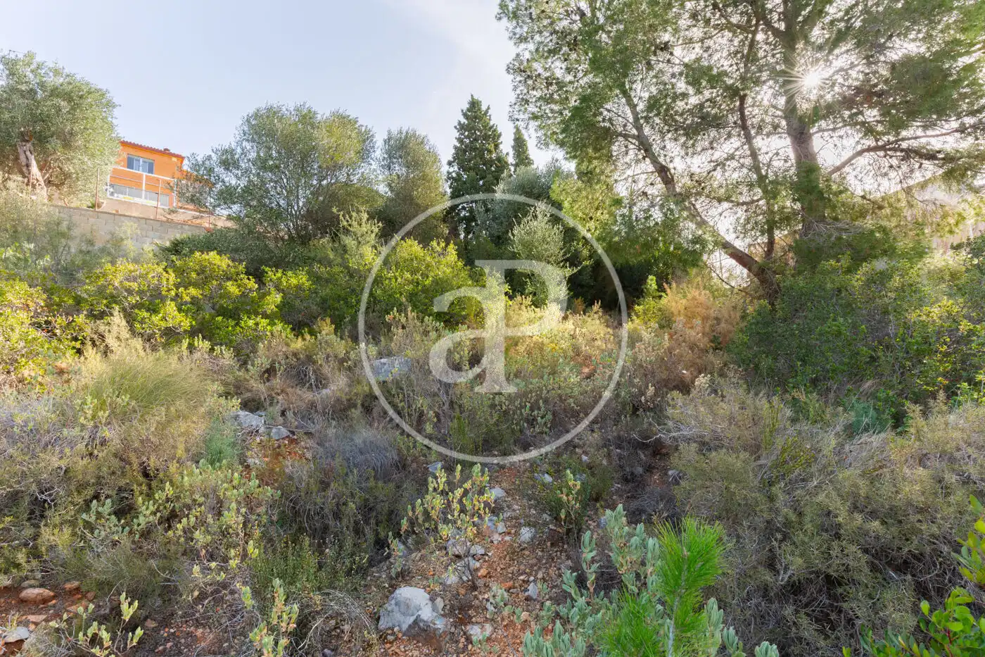 Residential land for sale in Carrer de la Foia de Bunyol, imagen 12