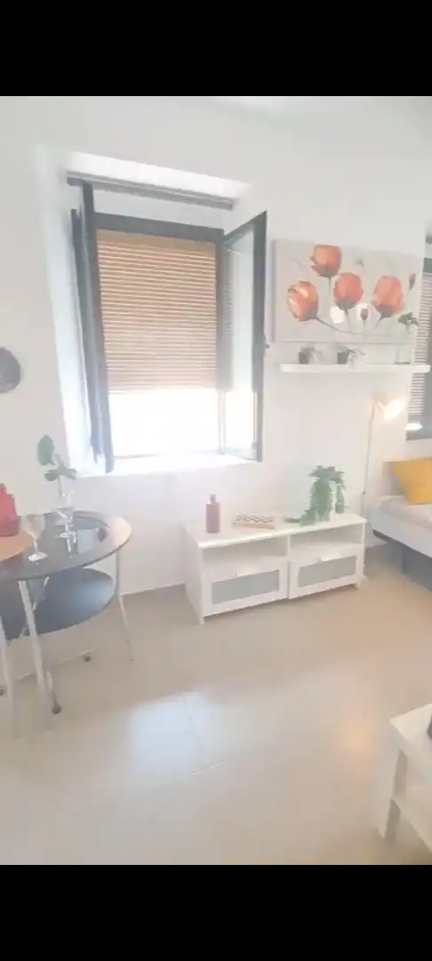 Studio mit Aufzug zur Miete in Calle García Briz, imagen 4