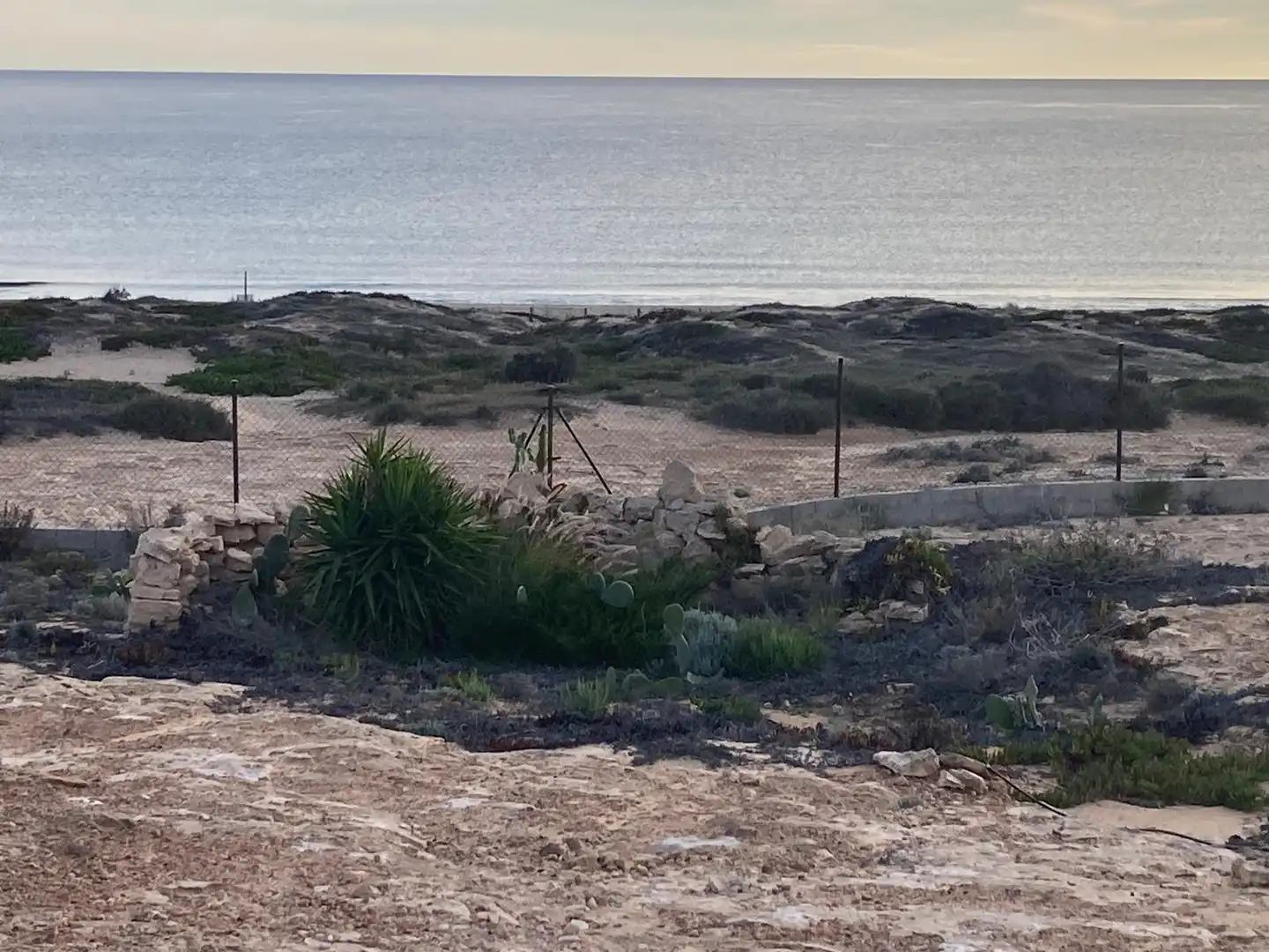 Casa o xalet en venda en Alicante / Alacant amb Jardí privat i Terrassa