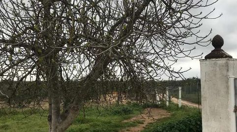 Foto 4 de Finca rústica en venda a Almonte ciudad, Almonte