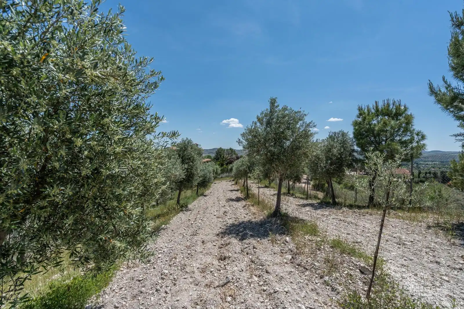 Finca rústica en venta en Chinchón con Aire acondicionado, Calefacción y Jardín privado