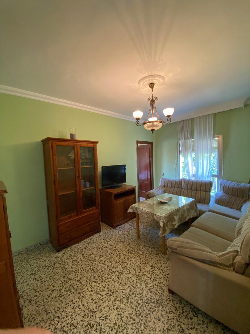 Sala d'estar de Pis de lloguer en Málaga Capital amb Aire condicionat