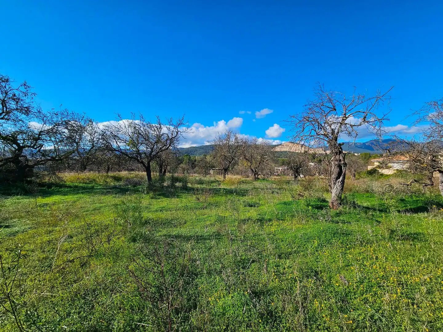 Chalet en venta en Son Amonda - Reis Catòlics, imagen 19
