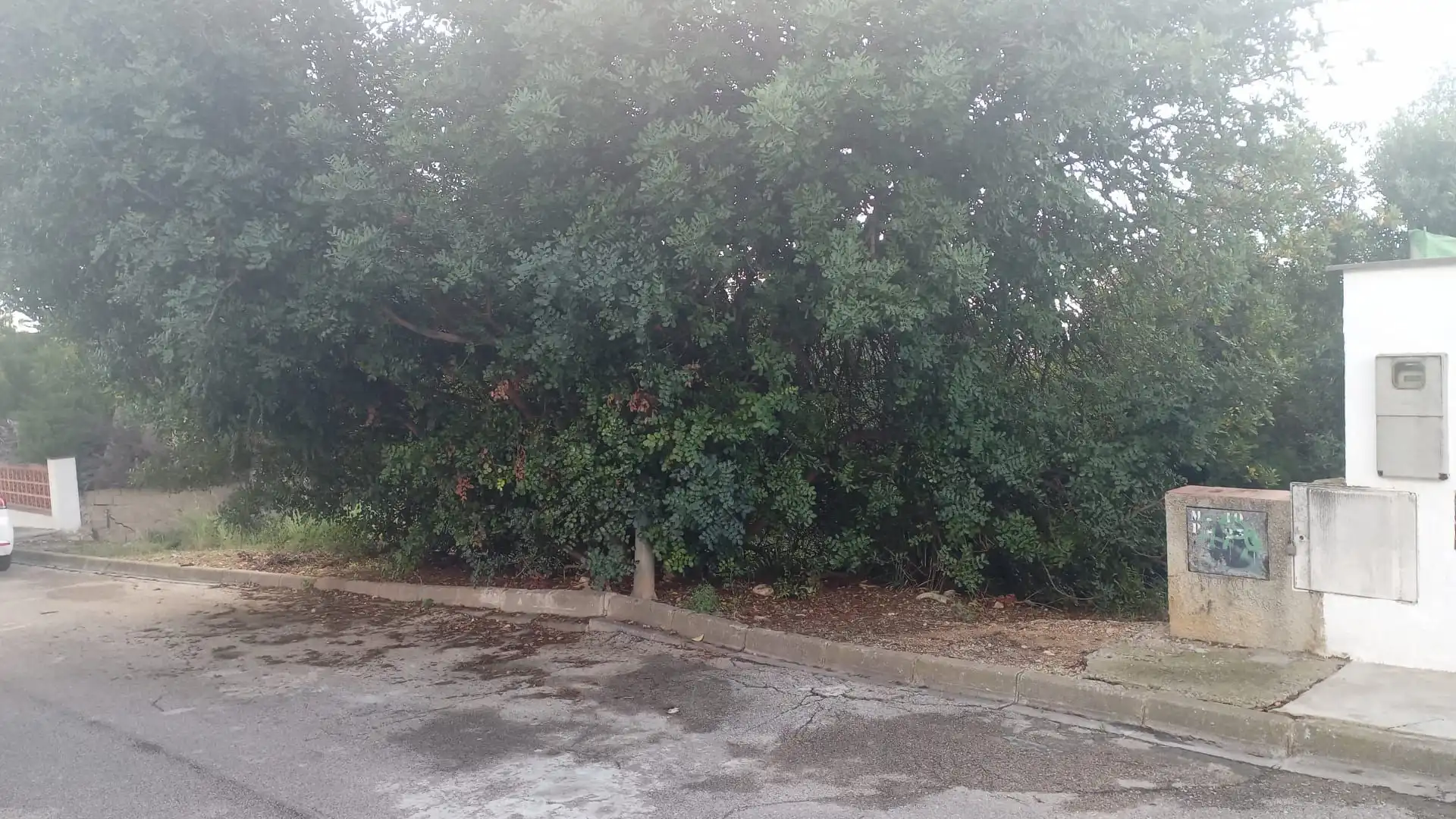 Terreno residencial en venta en Avinguda Mas Sole 1023