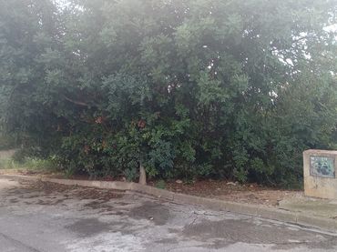 Terreno residenziale in vendita a Avinguda Mas Sole 1023