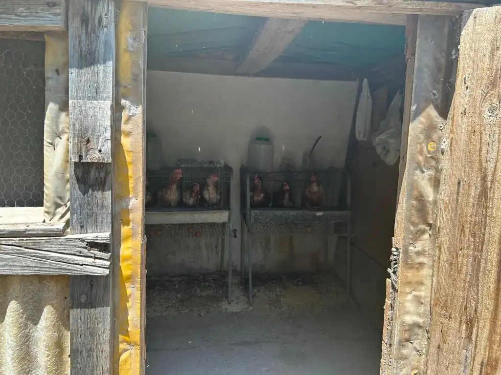 Finca rústica en venta en Sot de Ferrer